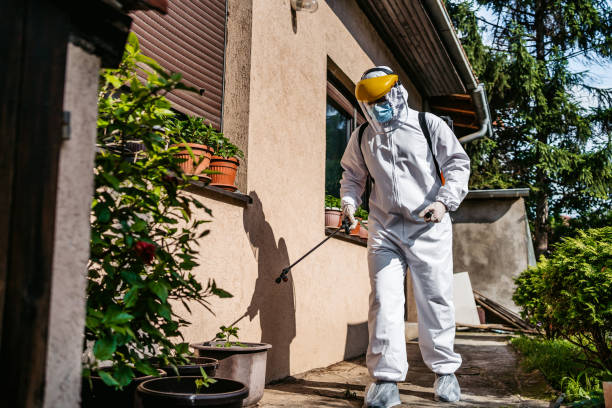 Best Best Pest Control Companies  in Country Walk, FL